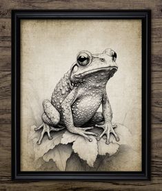 a drawing of a frog sitting on top of a leaf in front of a wooden frame