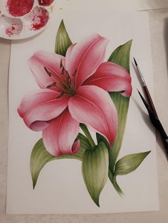 a drawing of a pink flower on paper next to a paintbrush and watercolor palette