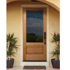 a wooden door with two potted plants on the front step and an arched glass window