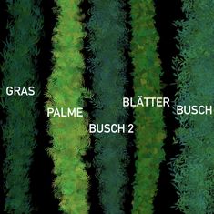 some green plants that are next to each other on a black background with the words grass, palme, and bush 2