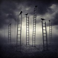 several ladders with birds sitting on them in the middle of a field under a cloudy sky