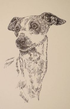 a black and white drawing of a dog