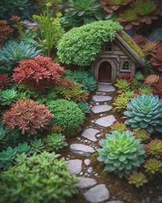 a small house in the middle of a garden with succulents around it