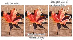 three different pictures of a leaf on the ground with words describing how to use it