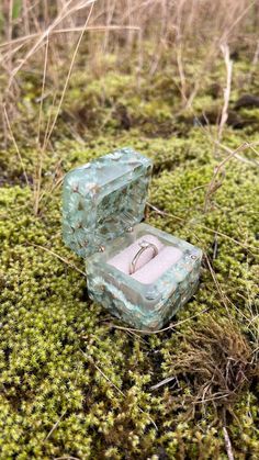 an open ring box sitting on top of a moss covered ground