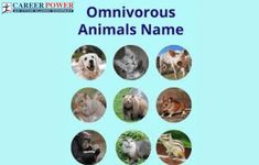 there are many animals that can be found in this book, including the names of them