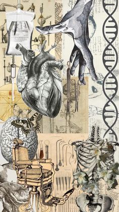 an artistic collage with various medical items and drawings on it's sides, including a human heart in the middle