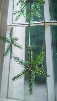 a pine tree is hanging in front of a window