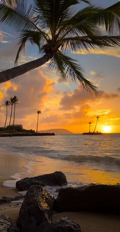 the sun is setting over the ocean with palm trees