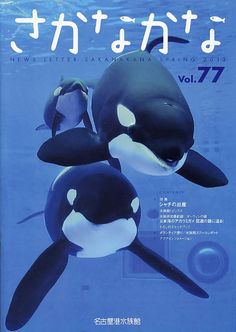 Public Aquarium, Beautiful Sea Creatures, Orca Whales, Marine Biology, Silly Animals, Killer Whales, Cute Little Things, Ocean Animals, Whales