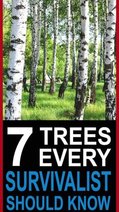 the seven trees every survivalist should know