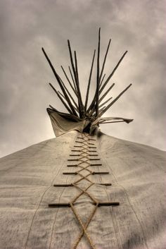 the top of a building with many sticks sticking out of it