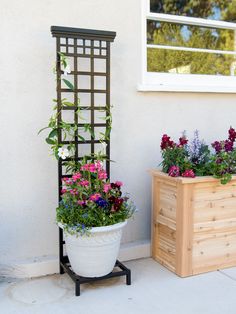 two potted plants are sitting next to each other on the side of a house