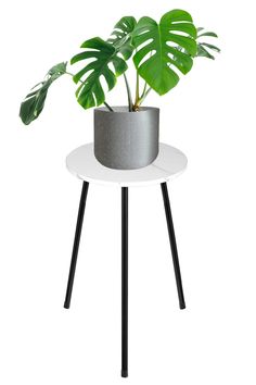 a potted plant sitting on top of a white table next to a black metal stand