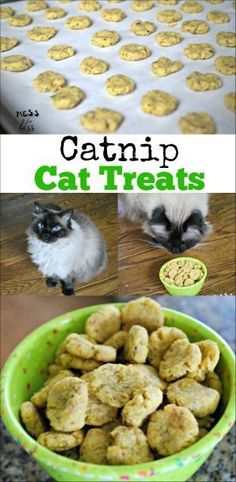 catnip treats in a green bowl and on the table