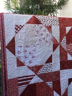 a red and white quilt is hanging on a wall next to a potted plant