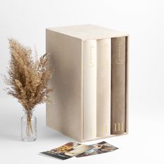 two books are sitting next to a vase with dried grass in it on a white surface