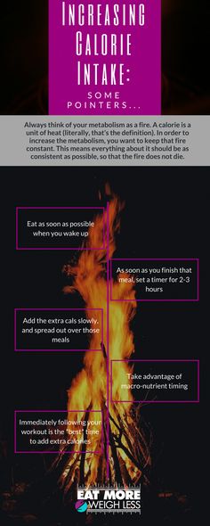 When increasing calorie intake, it's important to be consistent. To increase the metabolism, you want to keep that fire constant so it does not die. Metabolism Reset, Always Thinking Of You, Be Consistent, Eating Tips, Doing Something, Nutrient Dense, Health And Beauty Tips