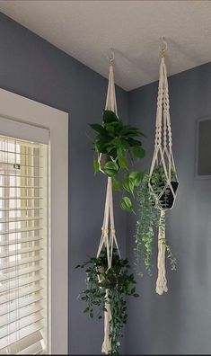 three hanging plants are in the corner of a room