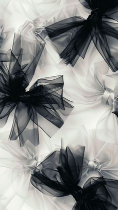 black and white photograph of abstract shapes