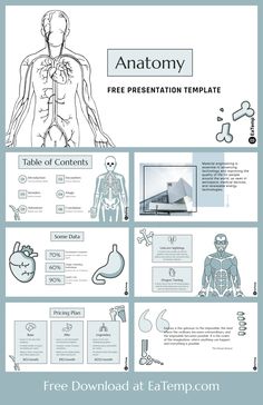 an info sheet with medical diagrams on it and the text anatomy, free presentation template