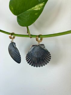 Our solid black scallop earrings vary if you look closely. They're the chicest version of "beachy". Shell length: 1 3/4" Earring base: stainless steel, gold plated *Shells are all different and may vary slightly Shell Earrings Diy, Picnic Crafts, Mermaid Core, Ocean Inspired Jewelry, Seashell Earrings, Portfolio Ideas, Scallop Shell, Scallop Shells, Ocean Inspired