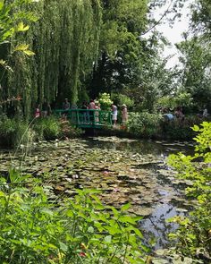 people are standing on a bridge over a small pond with lily pads and water lillies