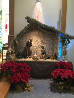 a nativity scene with poinsettis and christmas decorations on display in a church