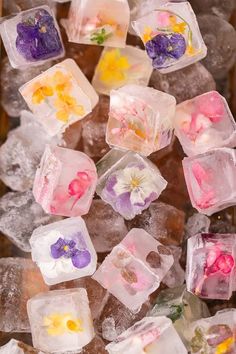 many ice cubes with flowers on them