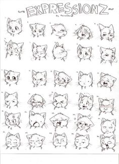 an image of expressions drawn in pencil on paper with the words expressionz written below