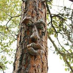 a face carved into the side of a tree