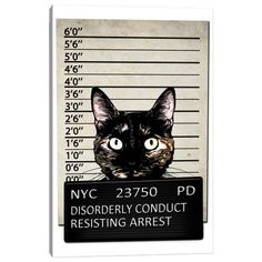 a black and brown cat sitting behind a sign that says, nyc2350 pd disorderly conduct resisting arrest