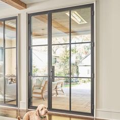 a dog is sitting on the floor in front of some glass doors that lead to an outside patio