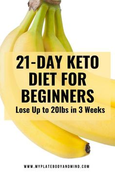 Smoothie Fruit, Keto Lasagna, Postre Keto, Keto Diet Guide, Diet For Beginners, Keto Brownies