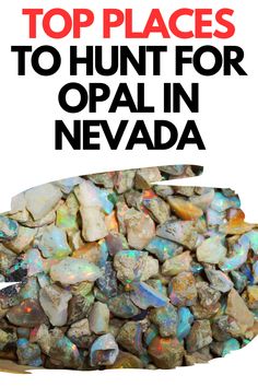 the top places to hunt for opal in nevada