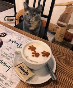 a cat sitting in front of a cup of coffee on top of a wooden table