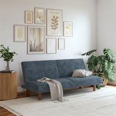 a living room with a blue couch and pictures on the wall above it, along with potted plants