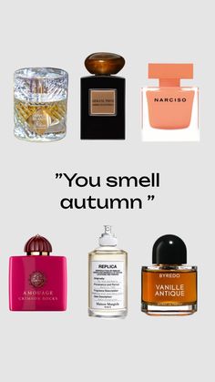 Fall Parfum, Fall Perfumes For Women, Perfume Moodboard, Autumn Perfume, Fall Perfume, Fall Fragrance