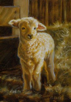 a painting of a lamb standing in front of a wooden fence with hay on the ground