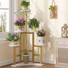 three shelves with plants on them in front of a wall mounted planter and window