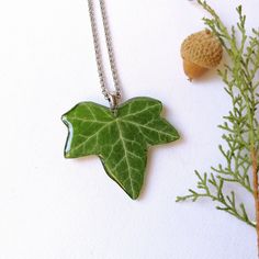 a green leaf and acorn on a silver chain next to an acorn sprout