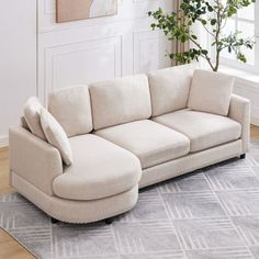 a living room with a sectional couch and potted plant on the floor in front of it