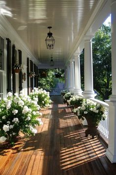 the porch is lined with white flowers and potted plants