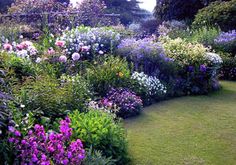 the garden is full of colorful flowers and greenery