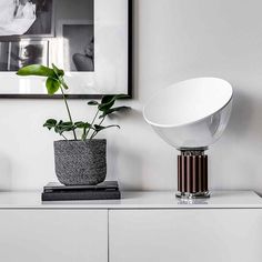 a potted plant sitting on top of a white dresser next to a framed photograph