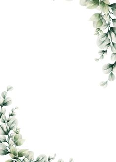 a white background with some green leaves on the top and bottom part of it, as well as an empty space in the middle