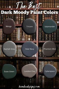 the best dark mood paint colors for bookshelves and shelves with text overlay