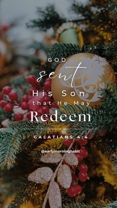 a christmas tree with the words, god sent his son that he may redem