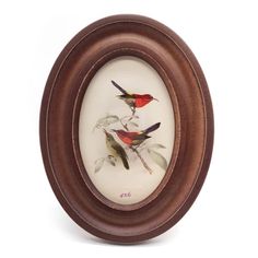 two birds sitting on top of a branch in a brown framed photo with white background