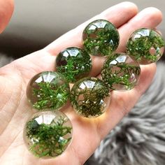 Beautiful Norwegian reindeer moss is encased in the resin sphere perfectly preserving its natural structure and gorgeous rich green color. Moss Jewelry, Moss Necklace, Terrarium Necklace, Necklace Resin, Home Diy Ideas, Epoxy Resin Crafts, Budget Home, Home Diy Decor, Diy Resin Crafts